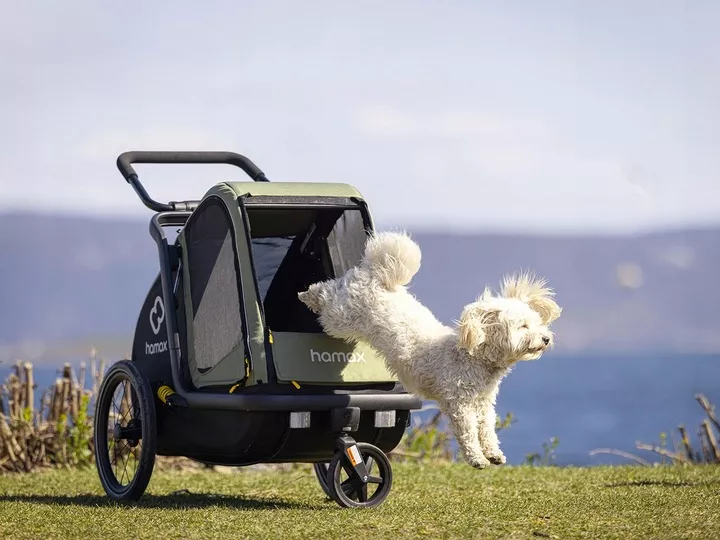 Przyczepka rowerowa do przewozu psa Hamax Pluto